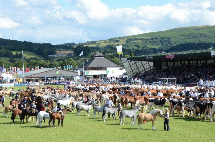 Calendar Royal Welsh Show